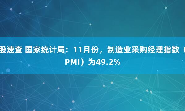 股速查 国家统计局：11月份，制造业采购经理指数（PMI）为49.2%