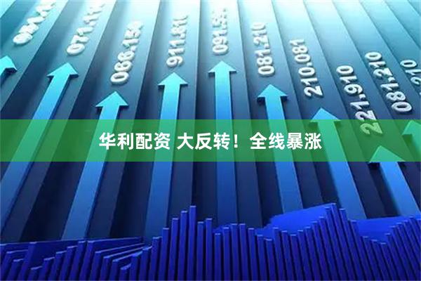 华利配资 大反转！全线暴涨