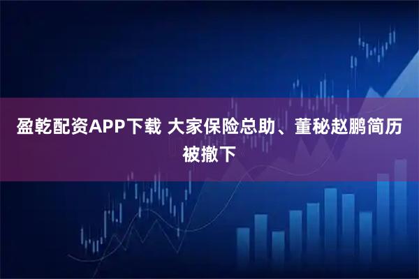 盈乾配资APP下载 大家保险总助、董秘赵鹏简历被撤下